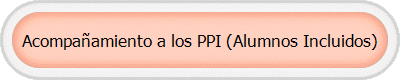 Acompaamiento a los PPI (Alumnos Incluidos)